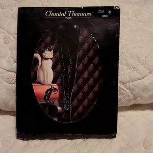 chantal thomass 100D  pantyhose brand new size 4